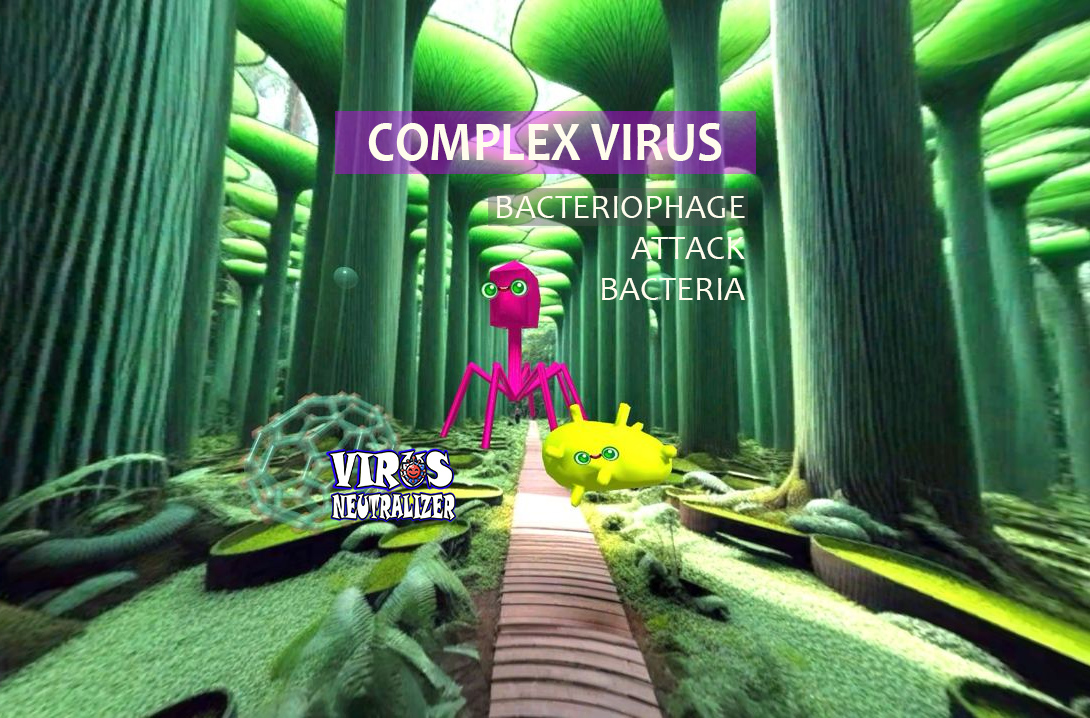 Complex Viruses Unveiled: Bacteriophages in Science and Gaming