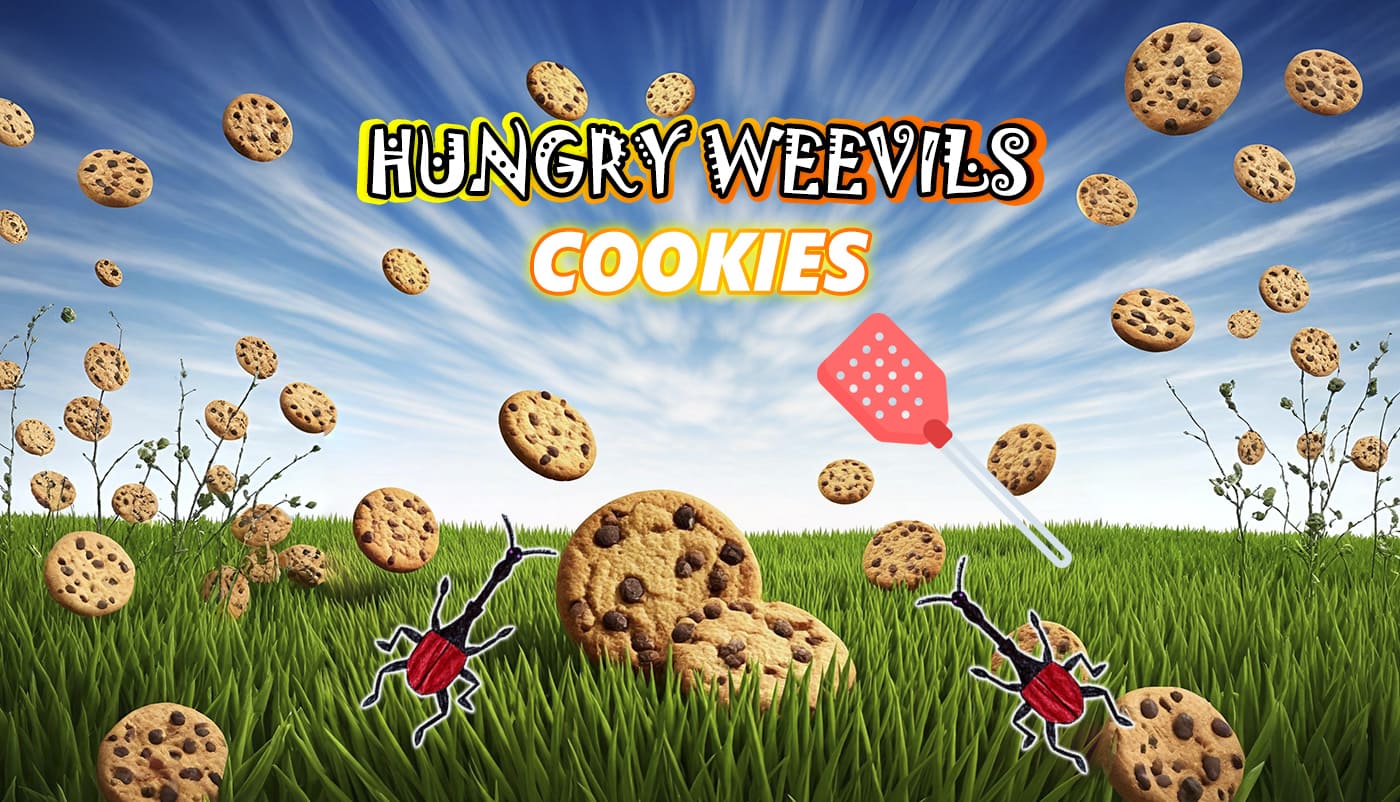 Cookies and baked goods: storage features and protection from weevils